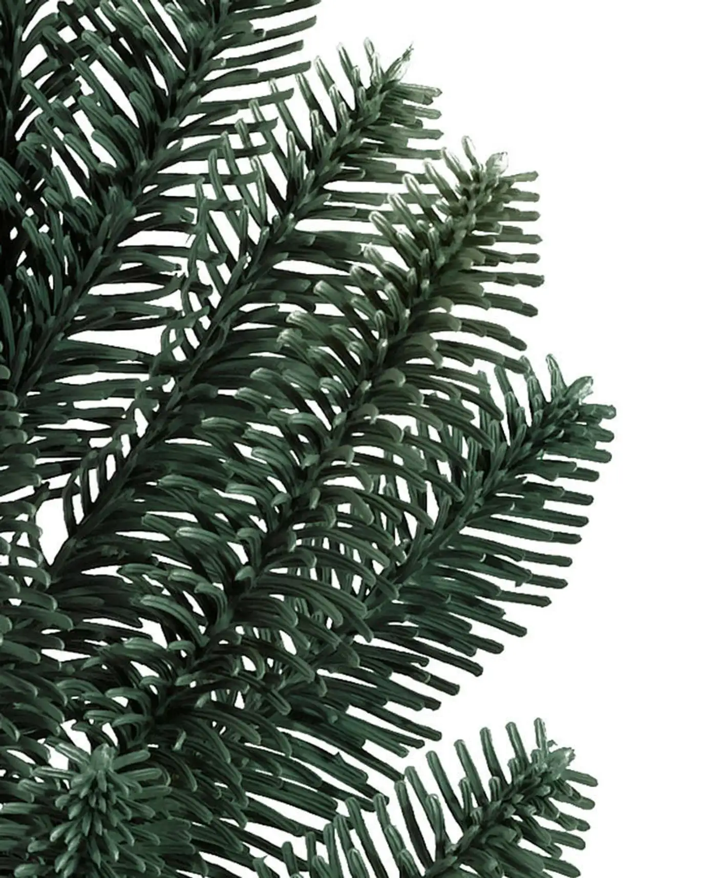 BH Noble Fir Narrow Tree