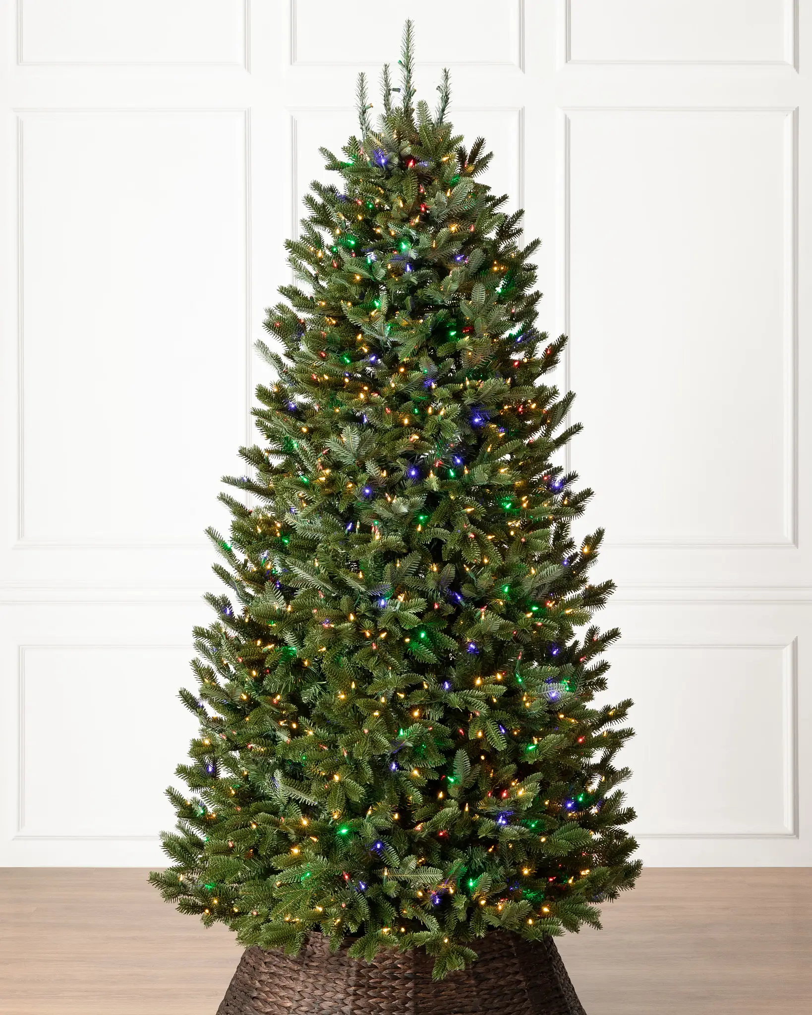 BH Fraser Fir Narrow Tree