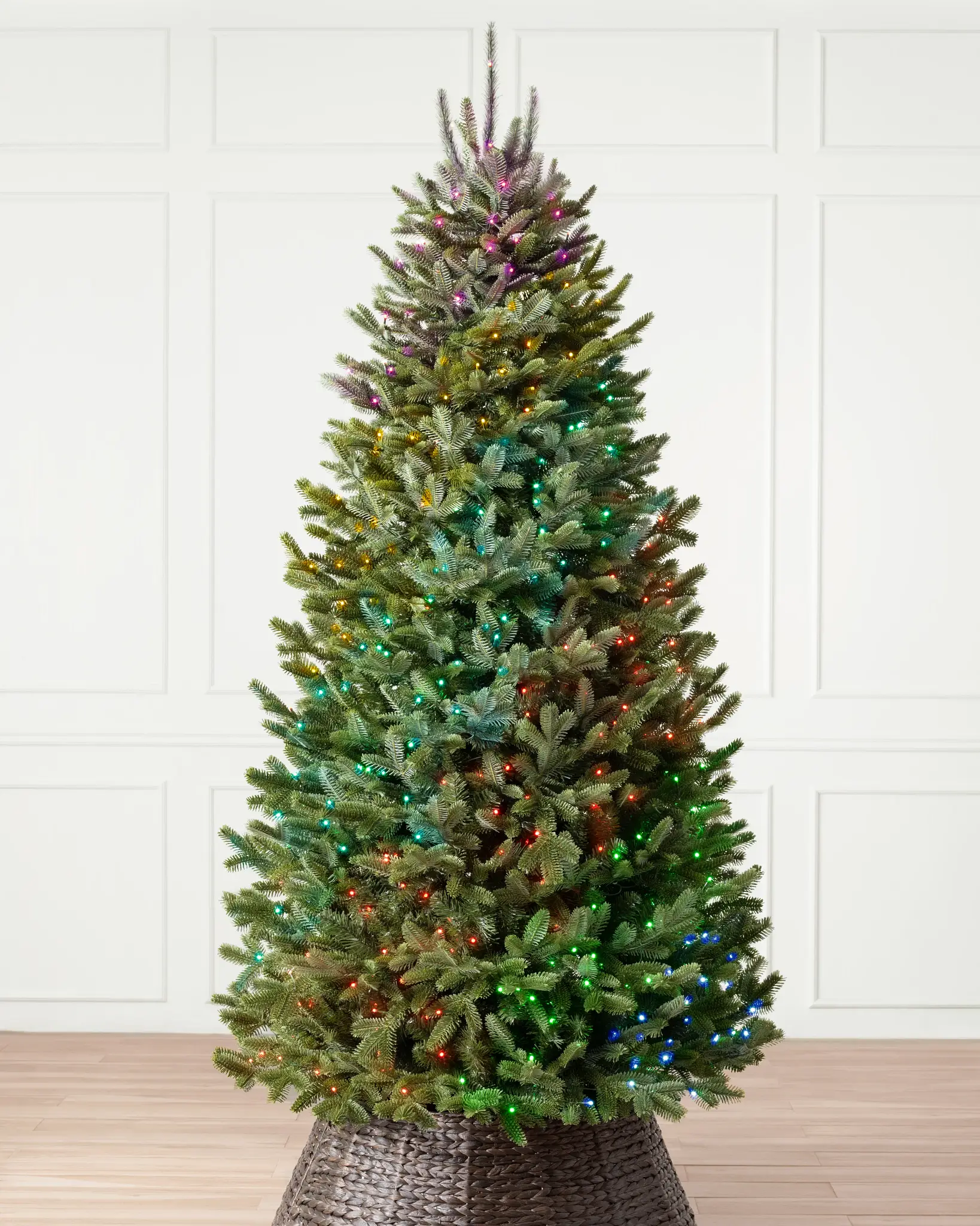 BH Fraser Fir Narrow Tree