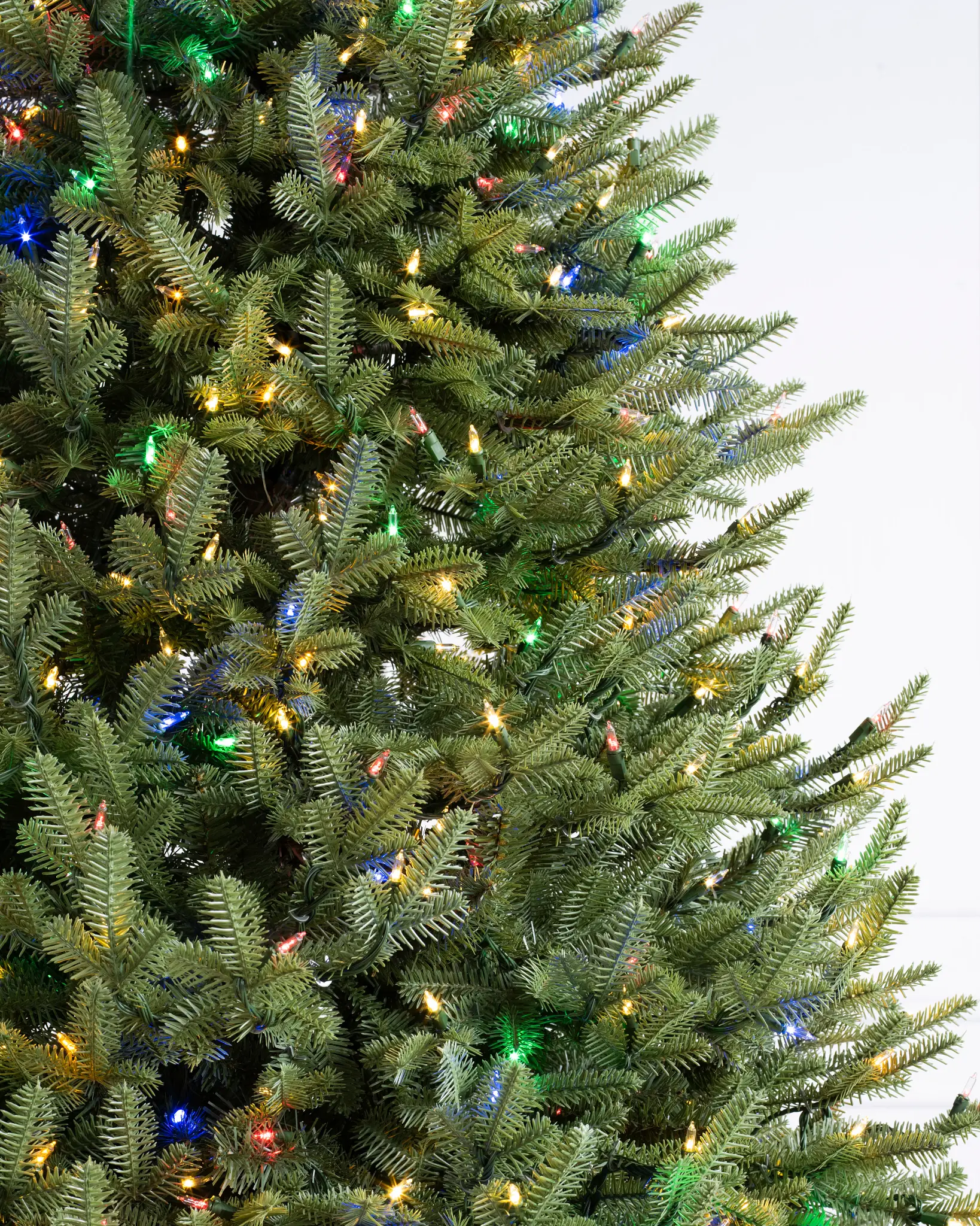 BH Balsam Fir Narrow Tree