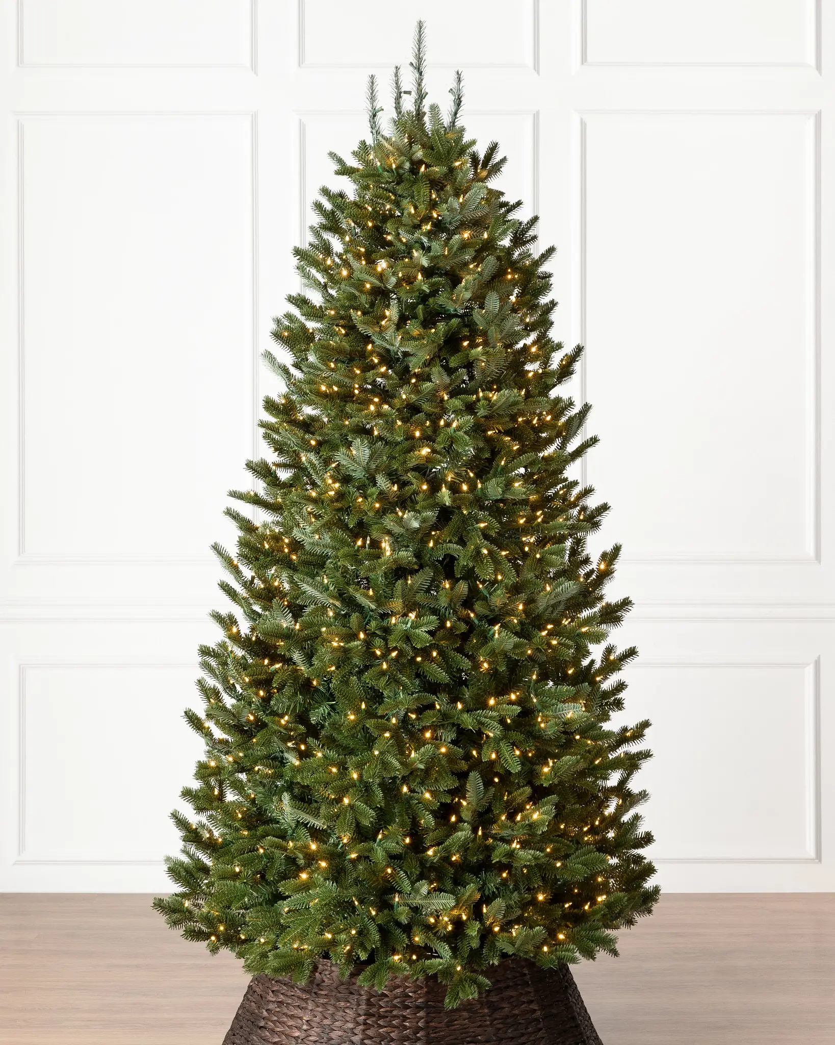 BH Fraser Fir Narrow Tree