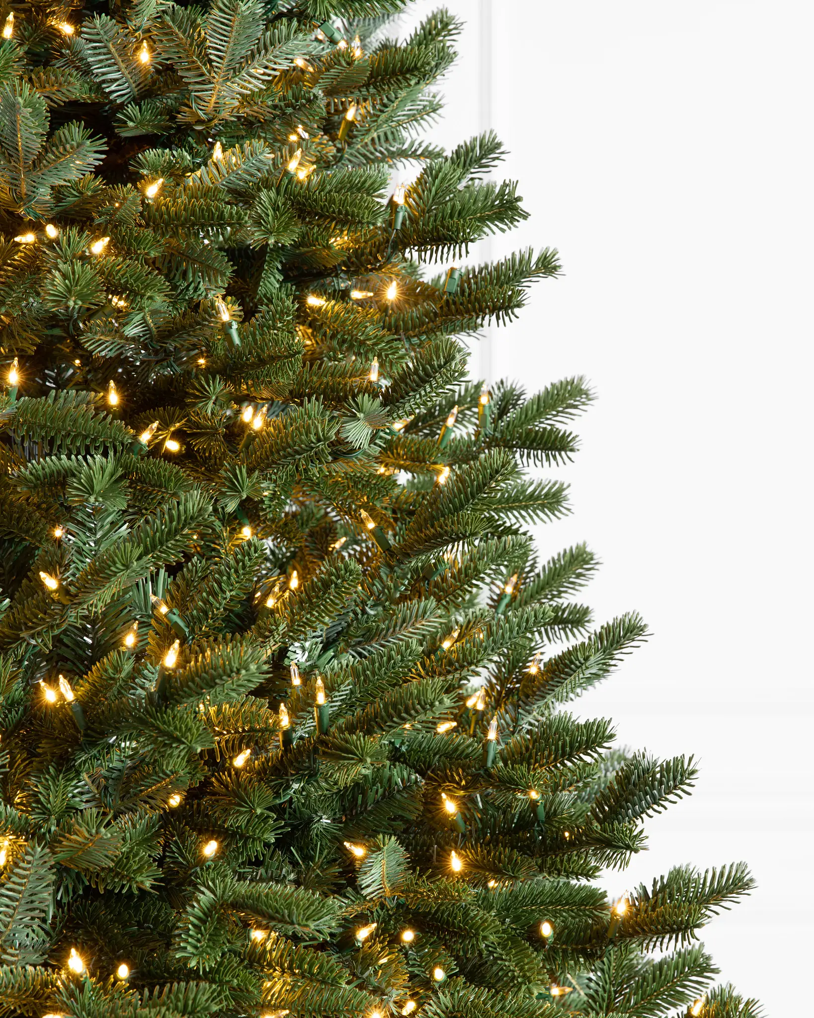 BH Fraser Fir Narrow Tree