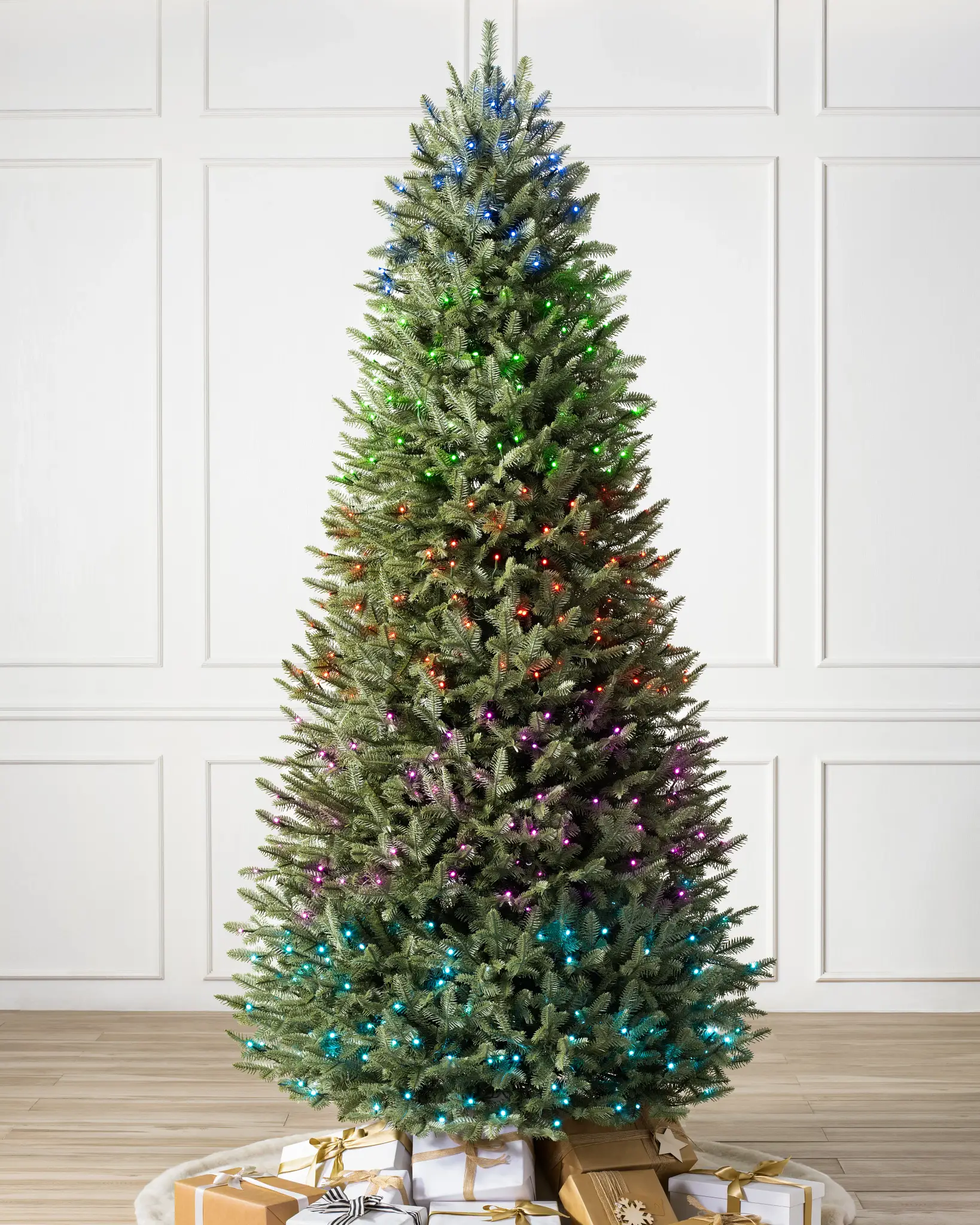BH Balsam Fir Narrow Tree