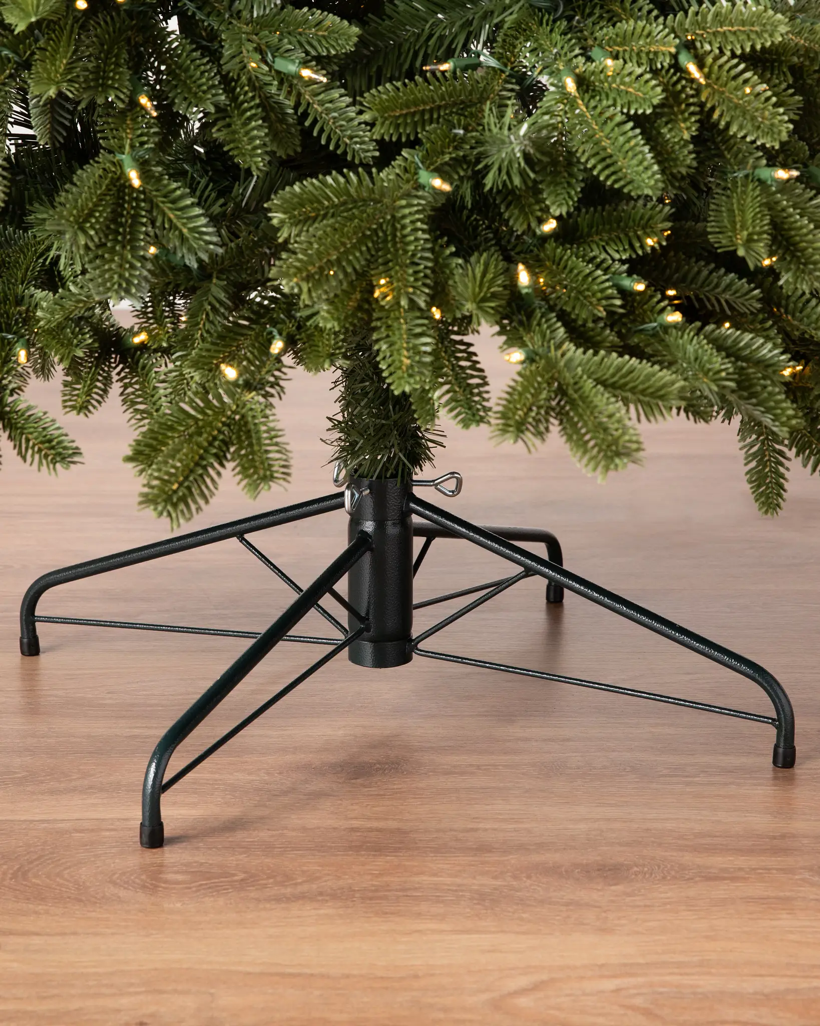 BH Fraser Fir Narrow Tree