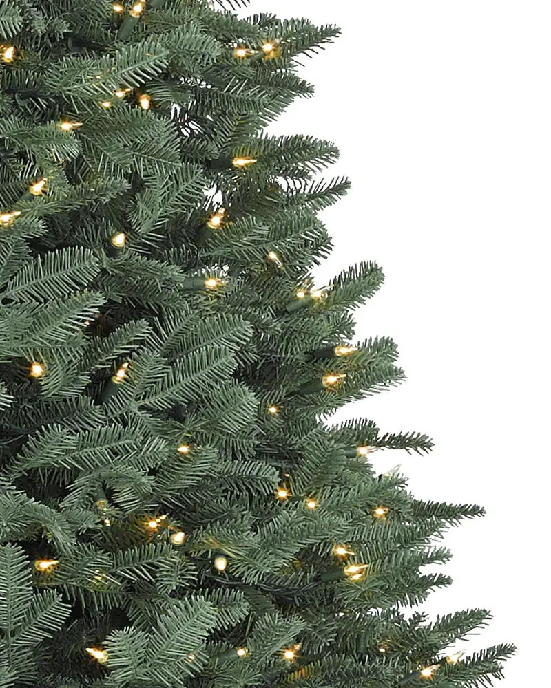BH Balsam Fir Narrow Tree