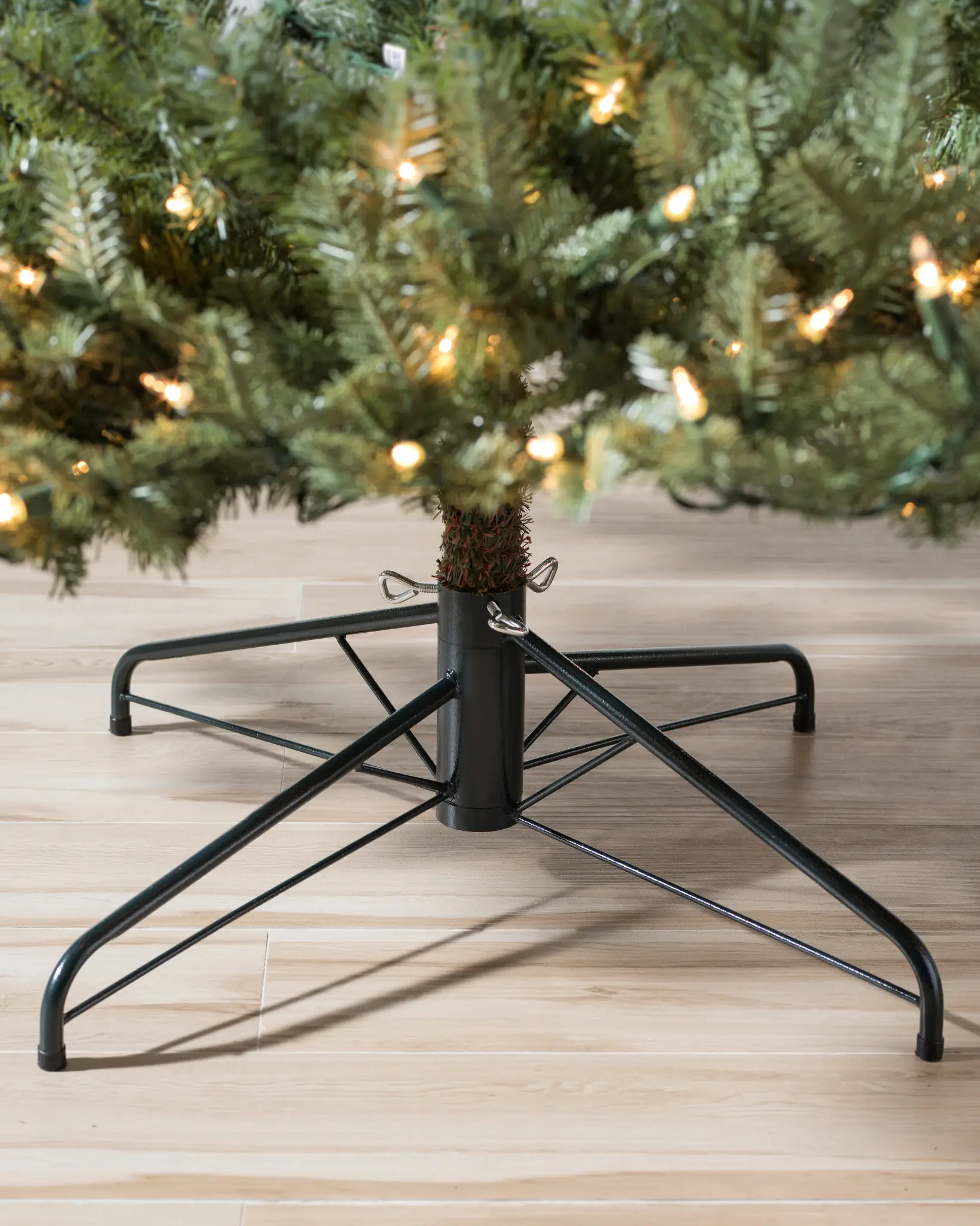 BH Balsam Fir Narrow Tree