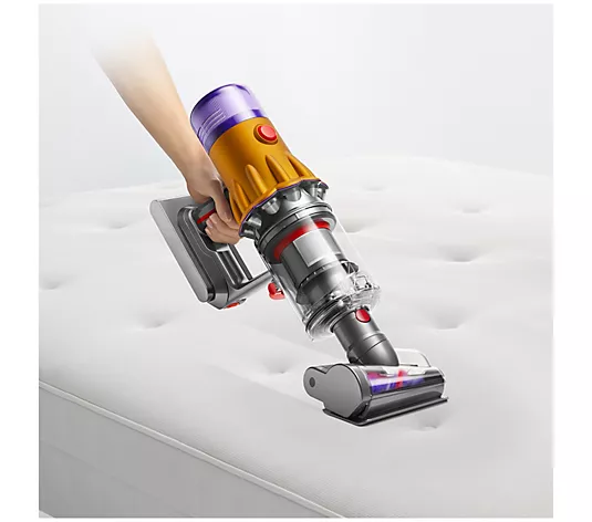 Dyson V11