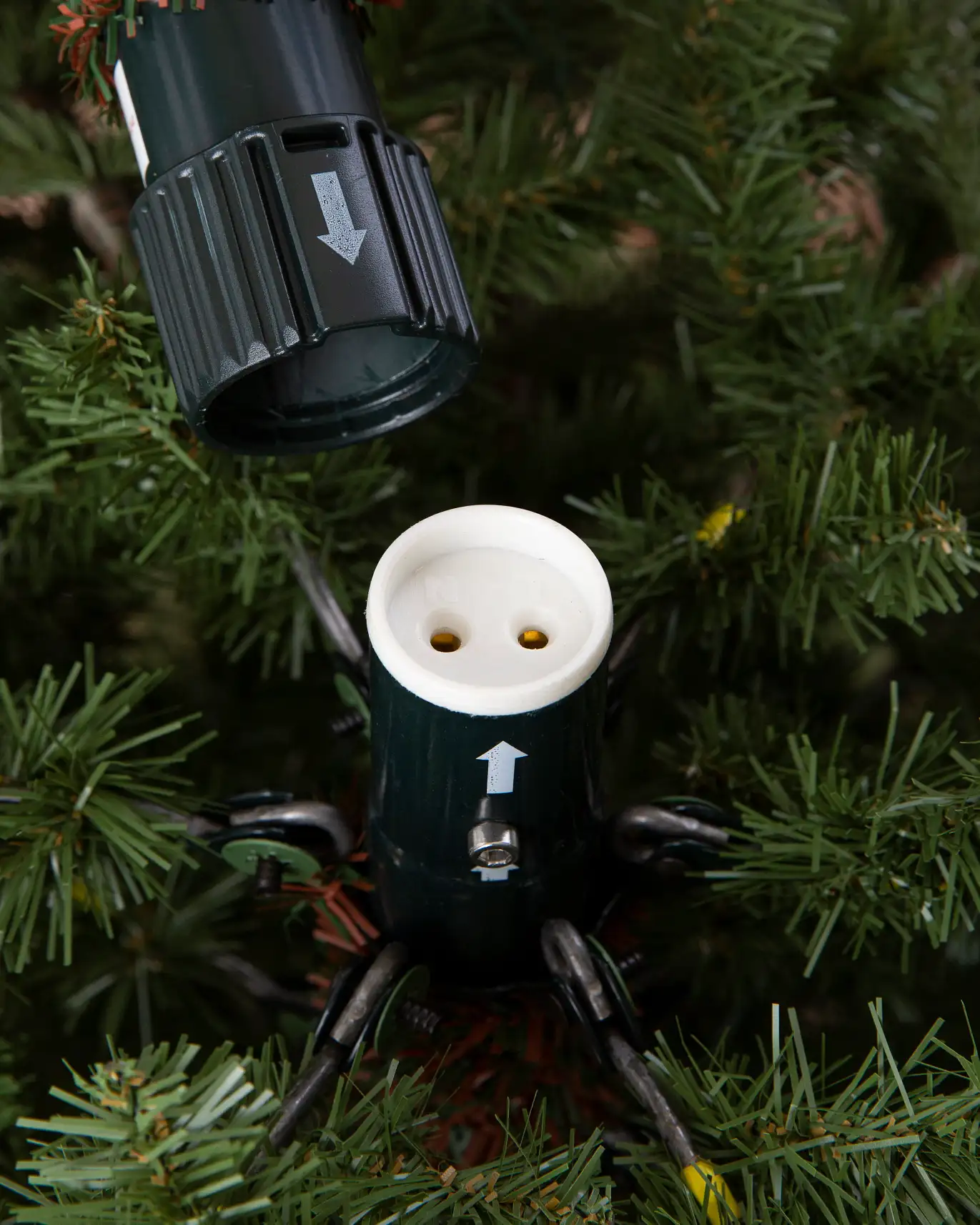 BH Noble Fir Narrow Tree