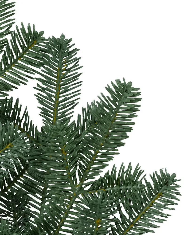 BH Balsam Fir Narrow Tree
