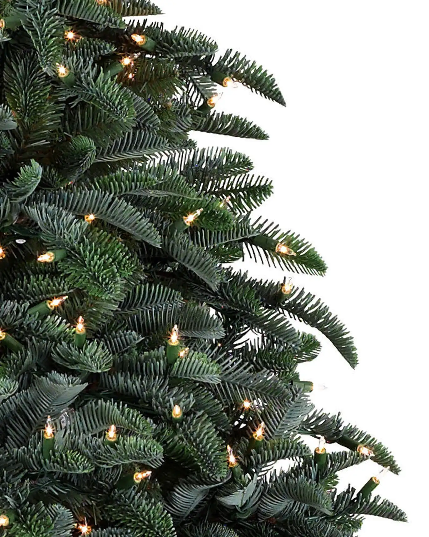 BH Noble Fir Narrow Tree