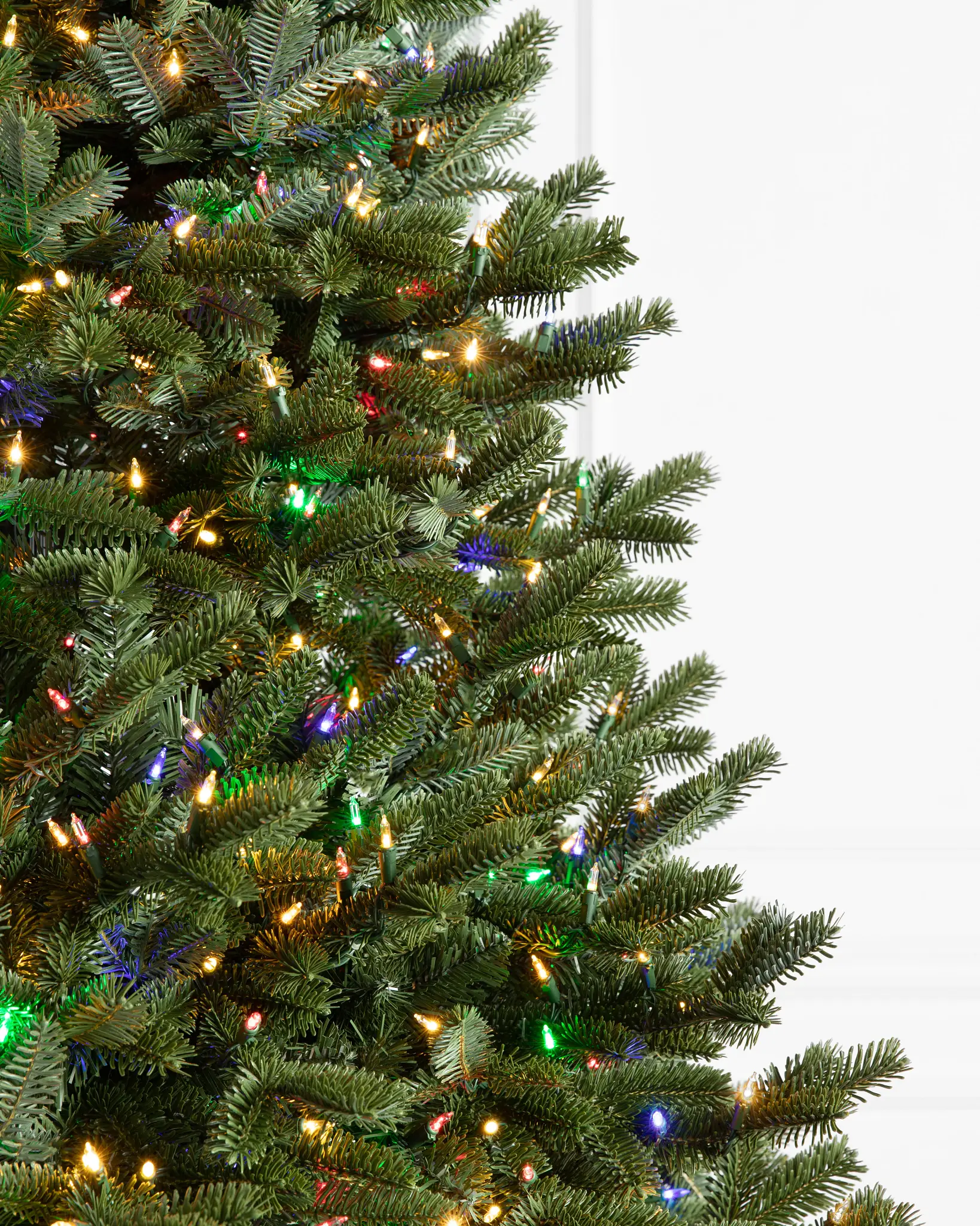 BH Fraser Fir Narrow Tree