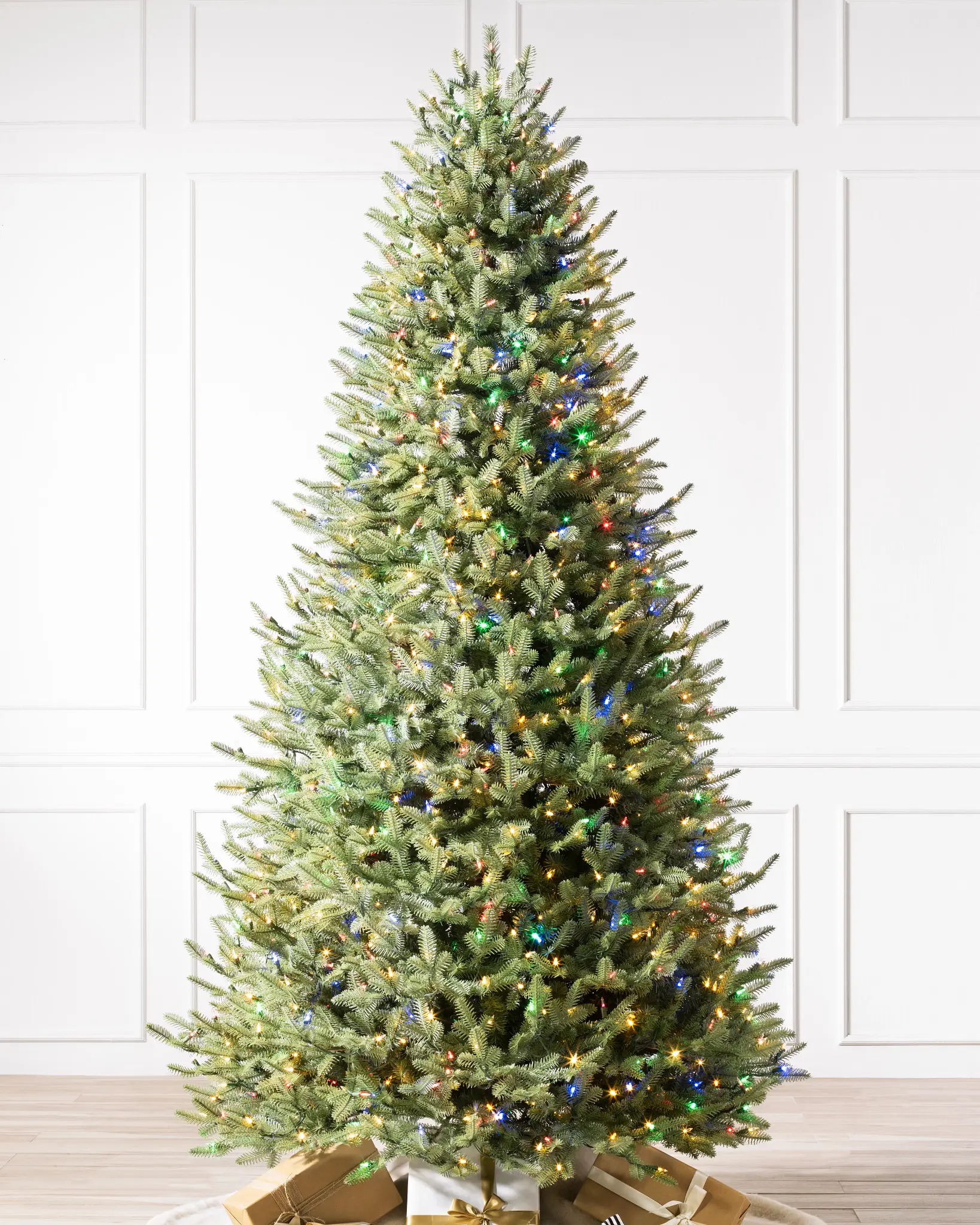 BH Balsam Fir Narrow Tree